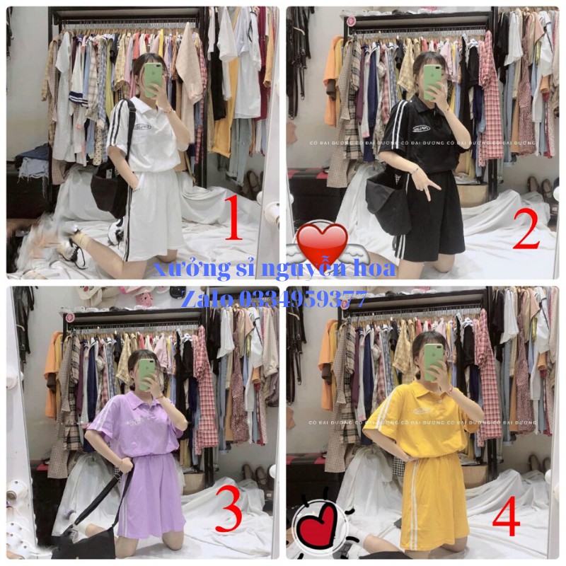 Bộ polo thể thao khóa siêu đẹp tha hồ lựa chọn mẫu (ảnh và video thật) Xưởng sỉ nguyễn hoa
