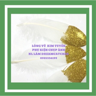 Phụ kiện chụp ảnh, lông vũ kim tuyến nhũ