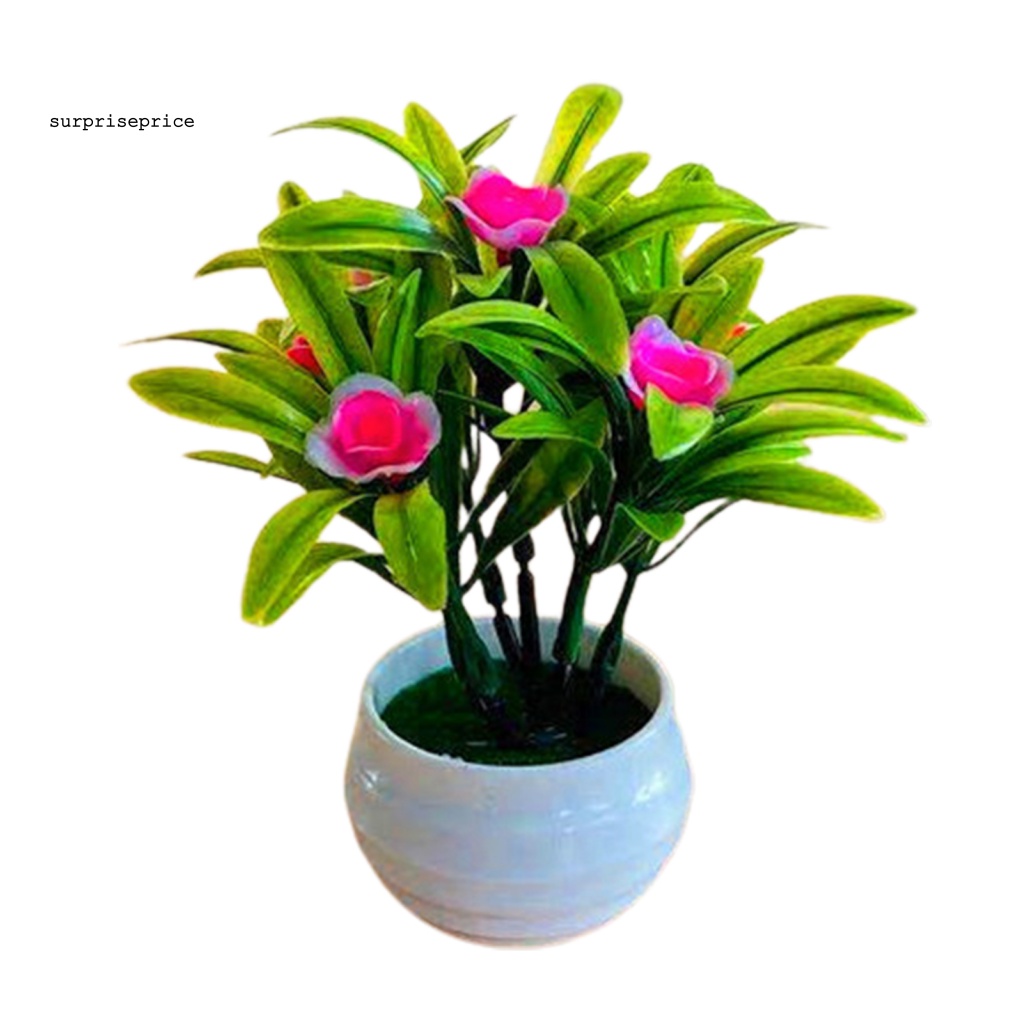 Chậu Cây Giả Sống Động Dùng Trang Trí Văn Phòng / SPA