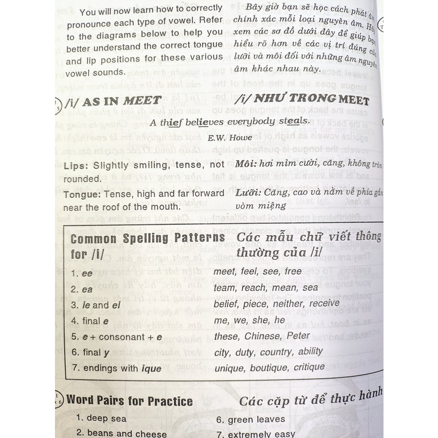 Sách - Mastering the American Accent - Nắm vững kỹ năng nói tiếng Anh giọng Mỹ