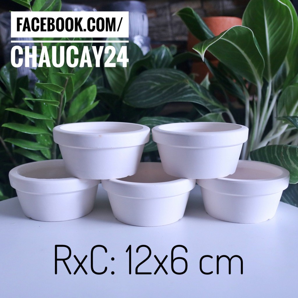 COMBO 5 chậu đất nung 12x6 cm trồng cây cảnh nội thất, sen đá, xương rồng