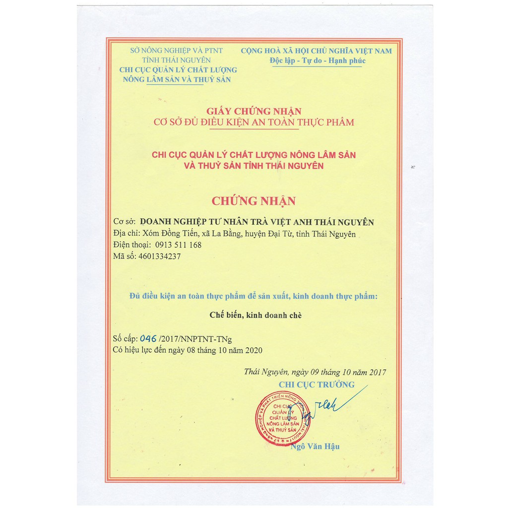 Trà xanh đặc sản Tân cương VIỆT ANH | BigBuy360 - bigbuy360.vn