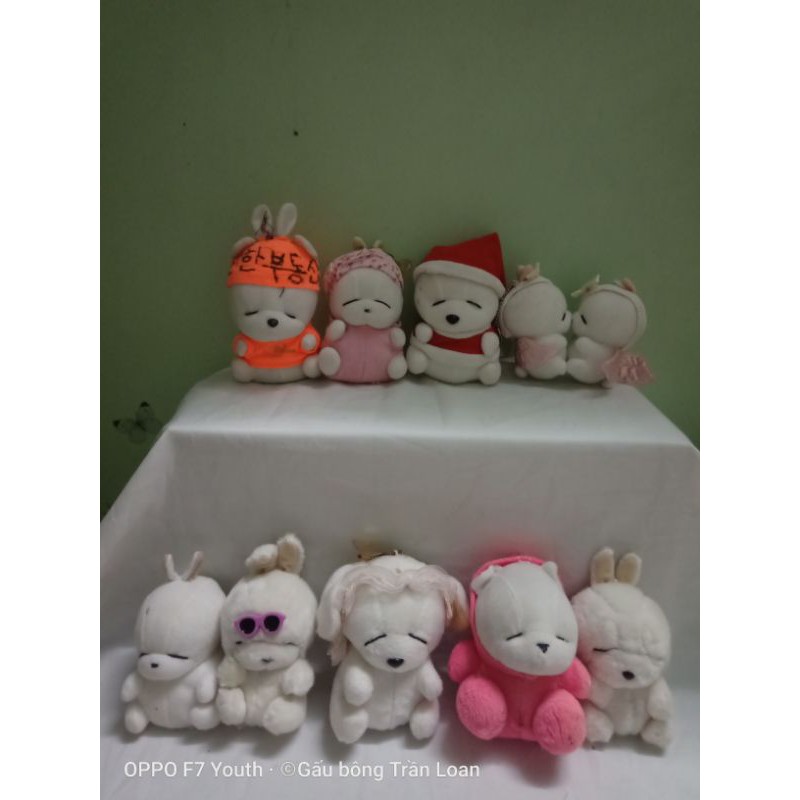 Gấu bông mắt hí