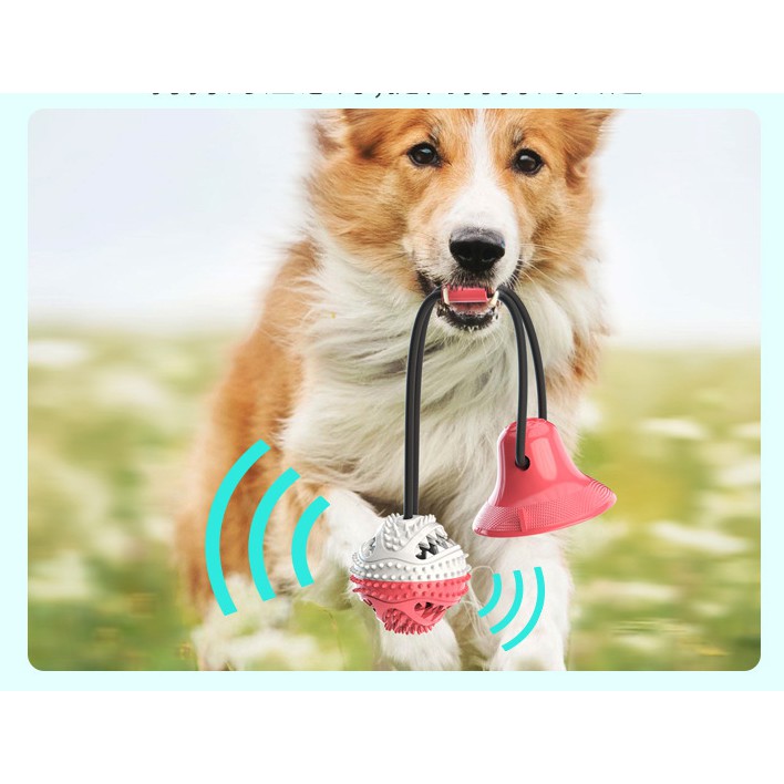 Đồ chơi cho chó mèo , đồ chơi kéo co giúp thú cưng giảm bớt sự tăng động