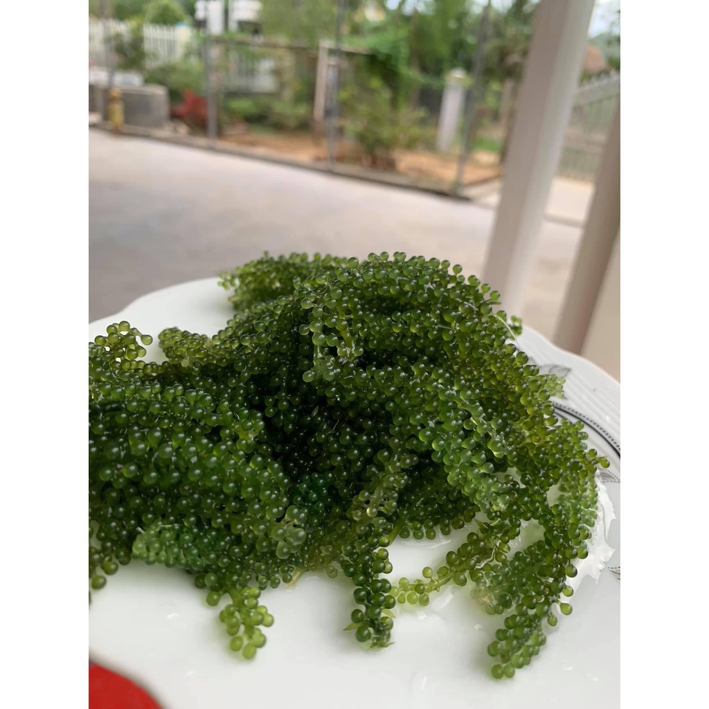 Nước sốt mè rang KEWPIE | BigBuy360 - bigbuy360.vn