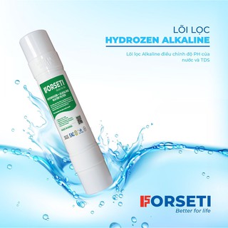 MÁY LỌC NƯỚC FORSETI FWP-620