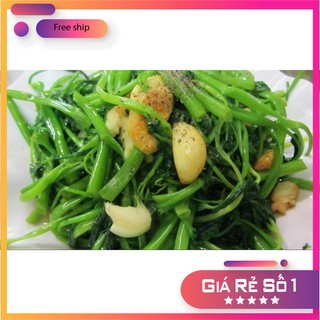 Hạt giống rau muống la tre Thái Lan ( 50gr) LUCKY.VN