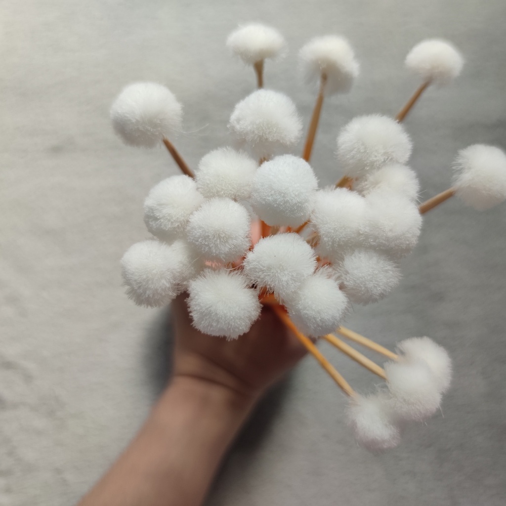 Combo 5 Cây Bông Ngoáy Tai Bông Xoay Tai Làm Sach Tai Cao Cấp