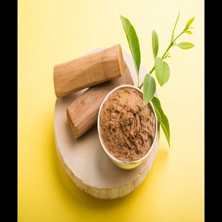Cây giống đàn hương trắng