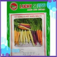HẠT GIỐNG CÀ RỐT NHIỀU MÀU GÓI 0,2 GRAM