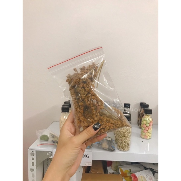 Kê mượt lông cho hamster