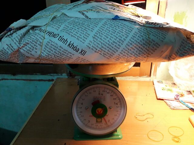 [FREESHIP 99K TOÀN QUỐC]BÀI NGÂM RƯỢU BỔ THẬN TRÁNG DƯƠNG. | BigBuy360 - bigbuy360.vn