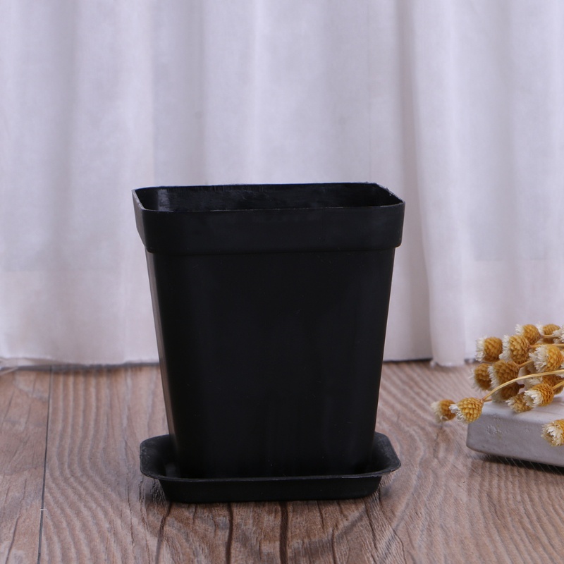 Khay Nhựa Trồng Cây Hình Vuông Tiện Dụng