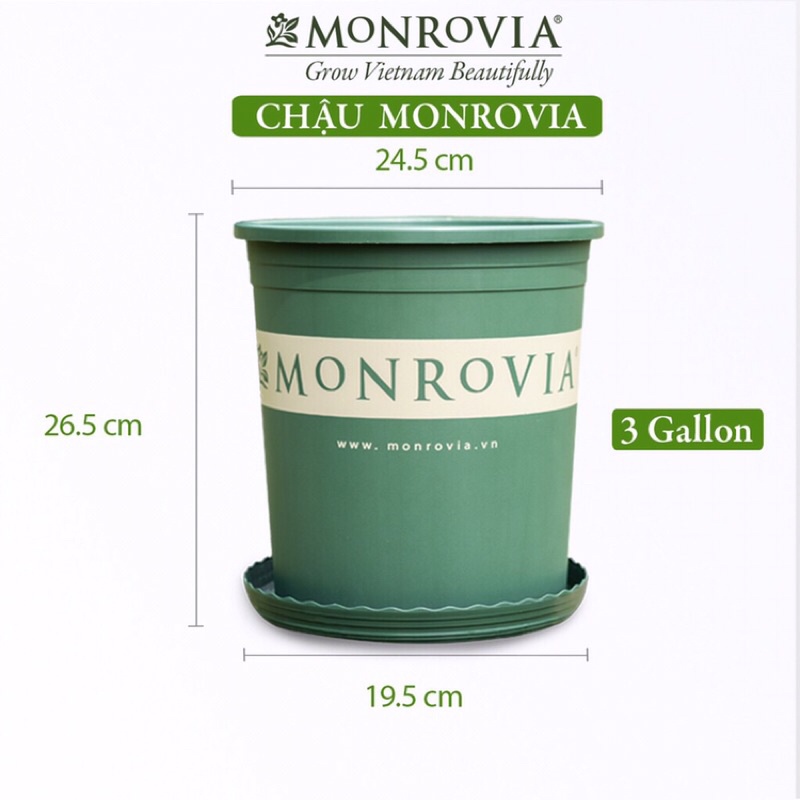flash sale. móc khóa