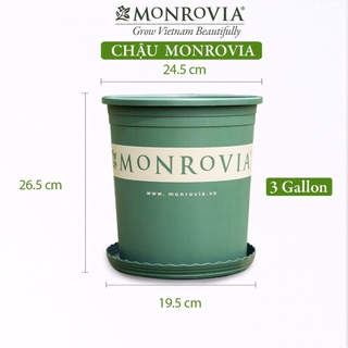 Flash sale. móc khóa