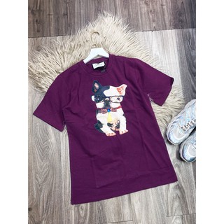 áo thun cotton 4 chiều cao cấp