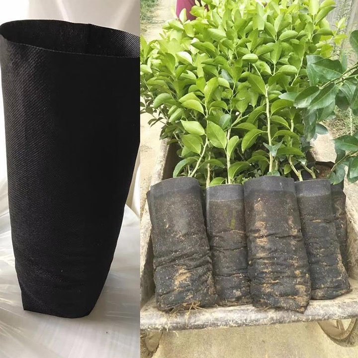 Combo 5 Túi Bầu Trồng Cây, Ươm Cây Bằng Vải Không Dệt Tự Hủy Sinh Học- NNTM