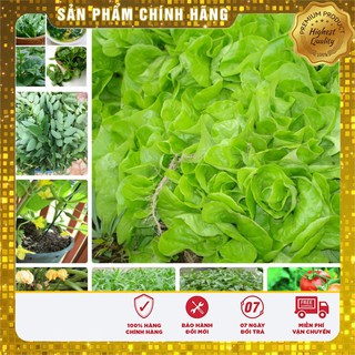 COMBO 10 loại hạt giống rau quả mùa hè