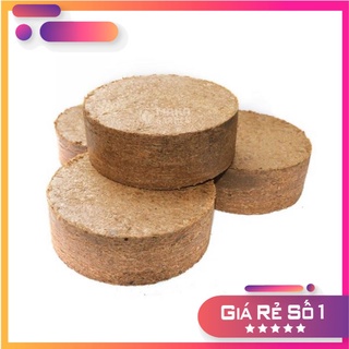 Bánh Nén Sơ Dừa Dùng Để Trồng Rau 500gam Sau Ngậm Nước Khối Lượng 5-7Kg ECO VIỆT NAM