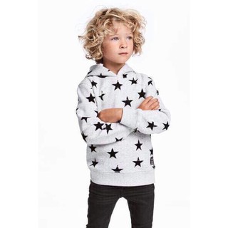 Áo nỉ mũ Hoodie xuất xịn