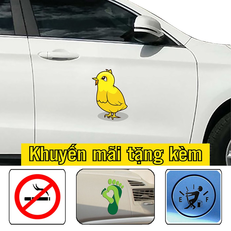 [Sale]-Sticker dán xe hình gà con, gà trống