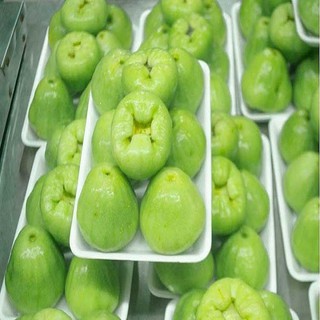 Cây giống mận xanh
