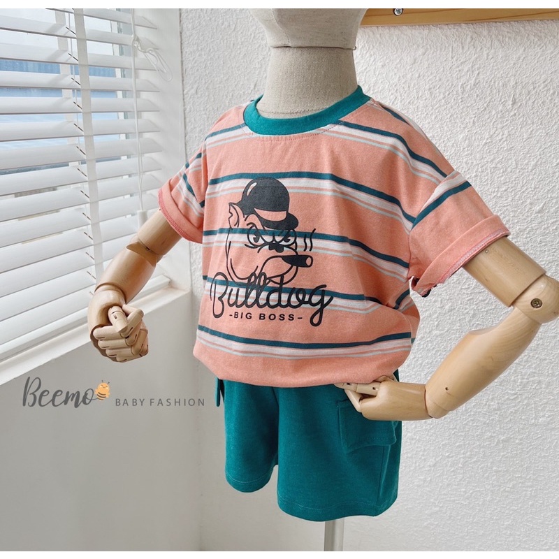 Bộ short cotton BullDoog kẻ cam bé trai-MS73