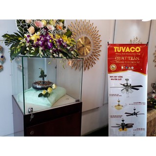 Quạt trần Tuvaco C500-02