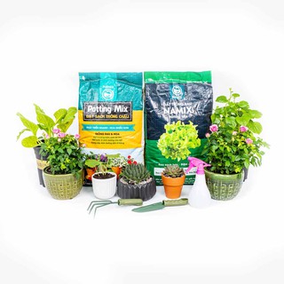 ĐẤT SẠCH HỮU CƠ - Đất sạch trồng rau Namix chất lượng, an toàn, giá rẻ tại Gò Vấp – TP. Hồ Chí Minh