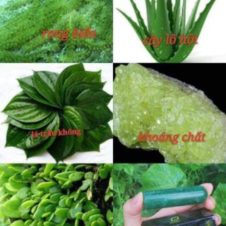 VIÊN RỬA PHỤ KHOA NCX
