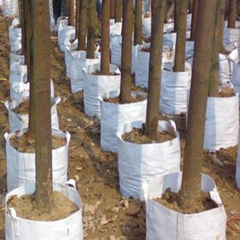 Túi Trồng Cây Bằng Vải Không Dệt Có Thể Phân Hủy Sinh Học