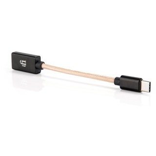 Dây chuyển USB IFI TYPE C OTG