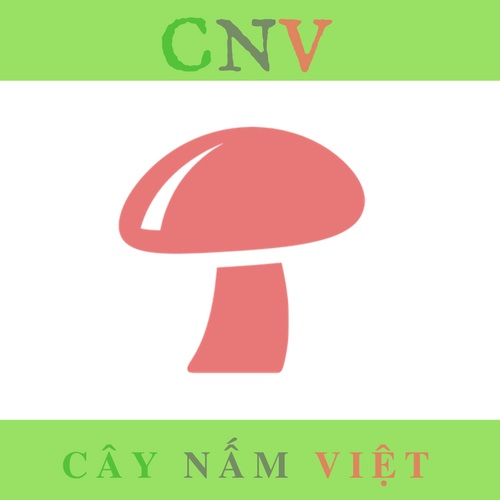 Trang Trại Nấm CNV