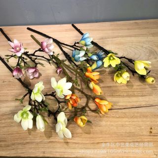 Hoa mộc lan cao cấp