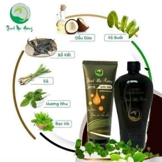 Combo 10 dầu gội thanh mộc hương