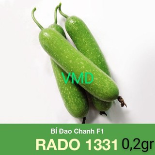 Hạt giống bí đao chanh lai f1