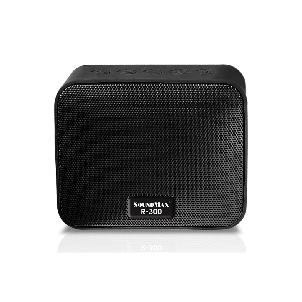 LOA BLUETOOTH SOUNDMAX R-300