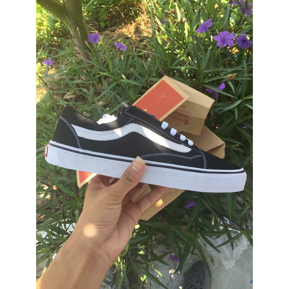 vans size 40