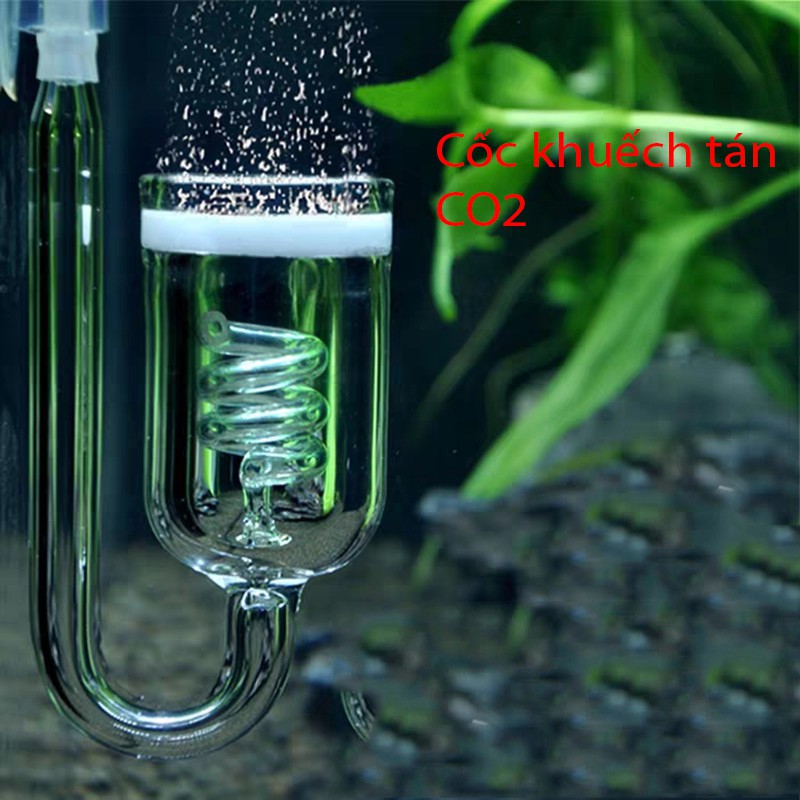 Cốc sủi KHUẾCH TÁN CO2 thủy tinh cao cấp xoắn 3 vòng