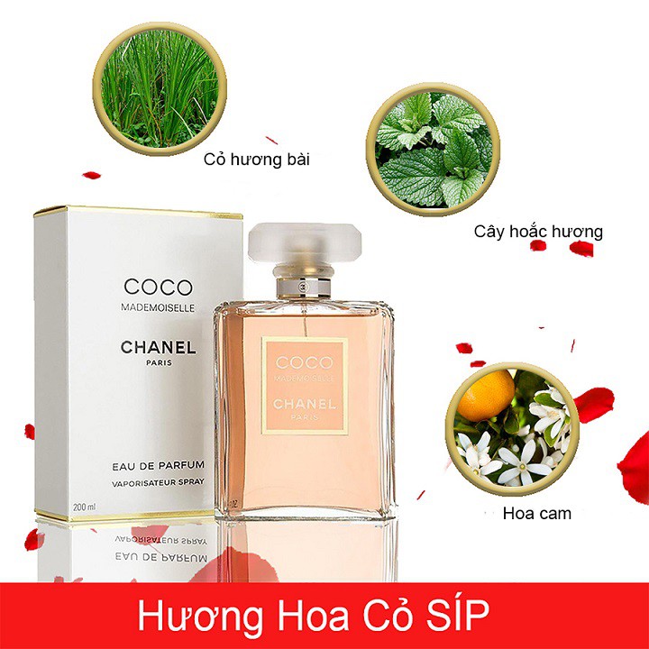 Nước Hoa Coco Mademoiselle Chaɴᴇʟ Chai 10ml Hai Phiên Bản EDP Và intense