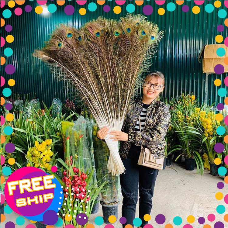 LÔNG CÔNG PHONG THỦY 🌿 FREESHIP 🌿 GIẢM CHỈ CÒN 5K/ CÀNH LÔNG CÔNG 100% TỰ NHIÊN (LÔNG CÔNG ĐẸP) | BigBuy360 - bigbuy360.vn