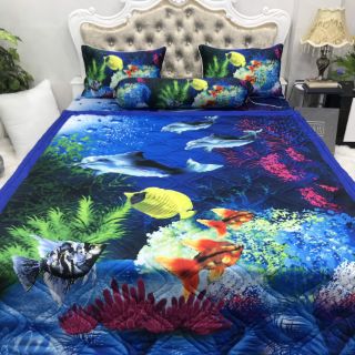 Drap thun cotton 5D lạnh Thái Lan nhập khẩu cao cấp