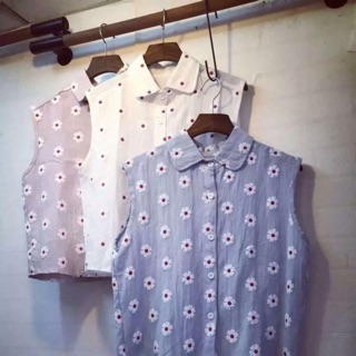 Áo sơ mi dáng croptop