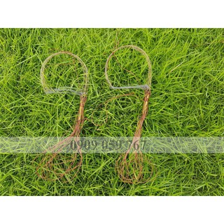 Bẫy Giò Chim Cu Gáy Mồi đất cáp 432