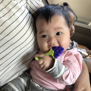 gặm nướu hoa quả cho bé gặm nướu silicon mềm mại có hộp đựng