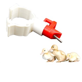 Combo 10 núm uống tự động cho vịt ngan V1 (Gắn vào ống nước phi 27)