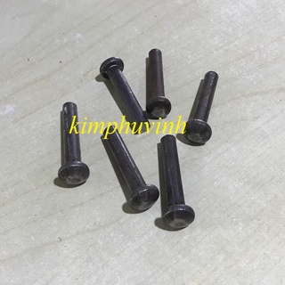 20 CON - 6x30mm ĐINH TÁN - TÁN RIVE - RIVE SẮT 6LI