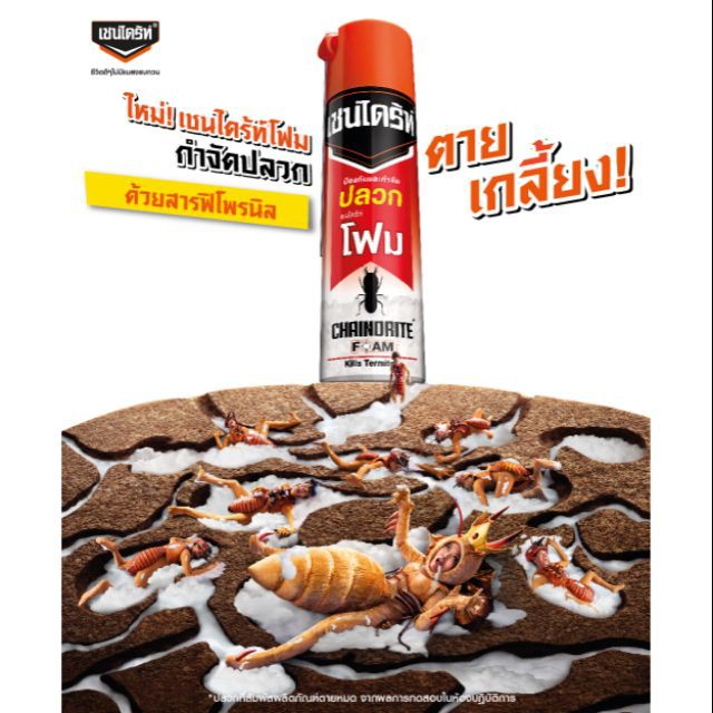 Chai xịt Diệt mối mọt CHAINDRITE Foam 250g Thái Lan | Shopee Việt Nam