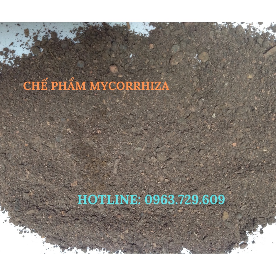 Nấm rễ cộng sinh Mycorrhiza - Đóng gói túi 1kg