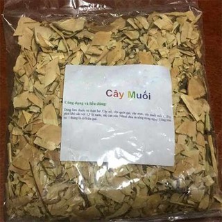 Cây muối, vị thuốc chữa suy thận